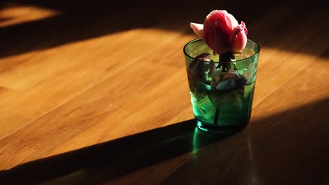 shadows fly quickly above a rose in a glass of water