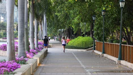 people jogging along a scenic park pathway