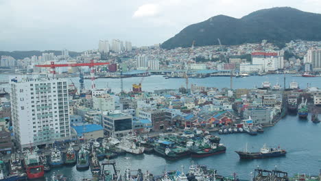 aerial view of a harbor cityscape
