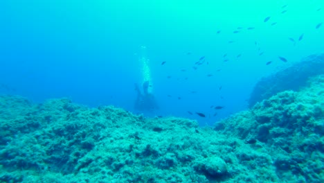 siguiendo a un buceador en el abismo, rodeado de pequeños peces