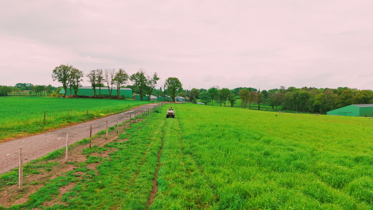 농장 에 있는 양  의 공중 드론