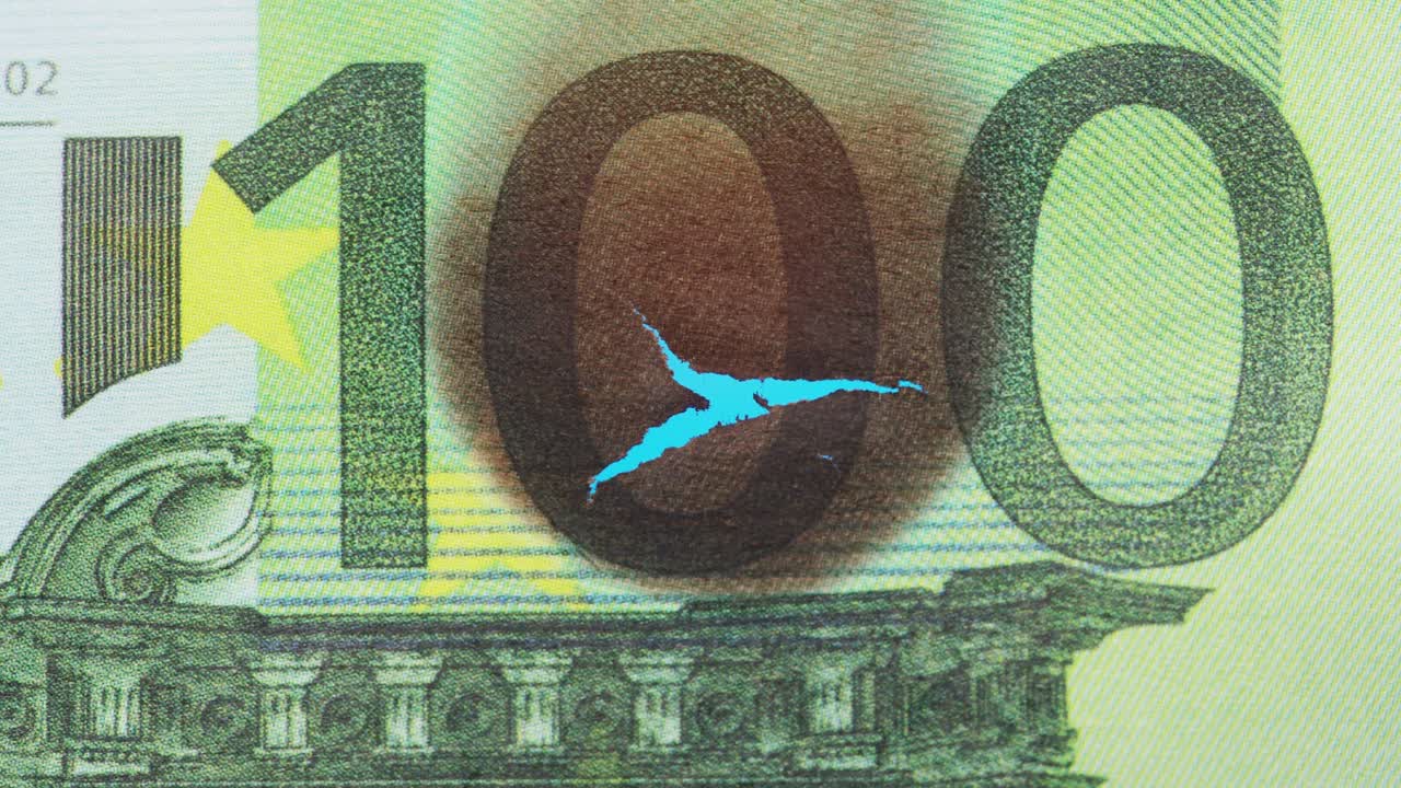 Burnt Euro Banknote