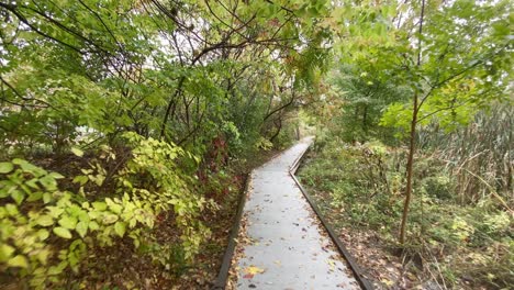 footpath through an autumn forest on a rainy day in new york's hudson valley