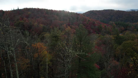 Toma-Cinematográfica-Ascendente-Con-Drones-De-Los-Colores-Del-Otoño-En-Las-Montañas-Blue-Ridge-En-Carolina-Del-Norte