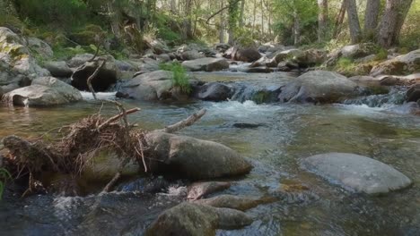 Un-Plano-Siguiendo-La-Corriente-De-Un-Río-Lleno-De-Rocas-Cerca-De-La-Superficie