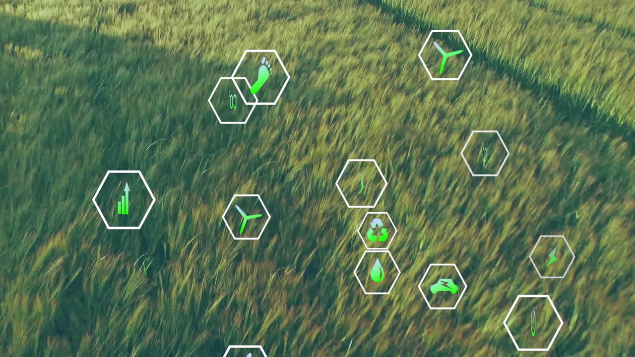 Digital hexagon eco-icons floating over green grass meadow showing sustainable energy and growth