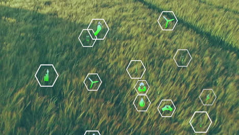 digital hexagon eco-icons floating over green grass meadow showing sustainable energy and growth