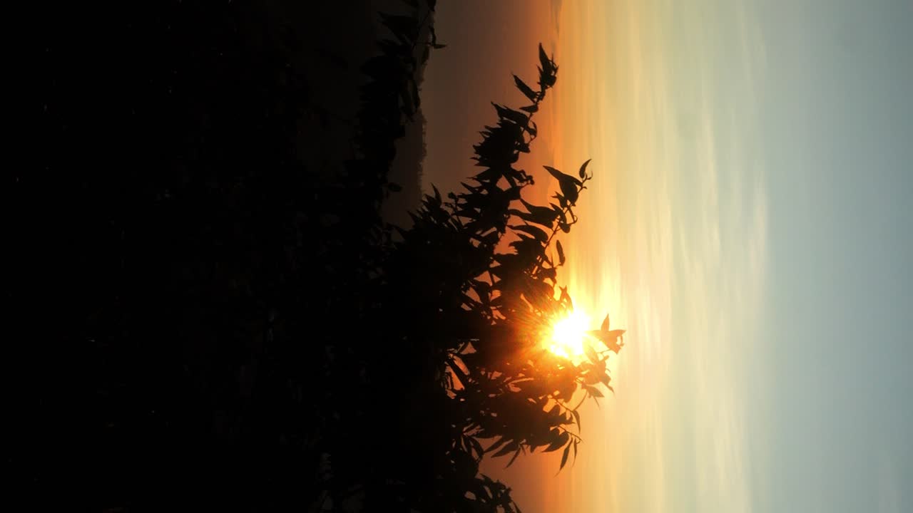 아름다운 해가 뜨는 동안 산 바투르에 올라가는 수직 상승 슬로우 모션  ⁇ 과 바리의 새벽 하늘과 오렌지색 태양의 모습과 나무와 잎과 함께 아름다운 해가 뜨는 동안