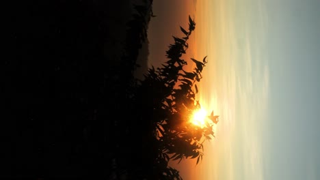 Vertical-ascending-slow-motion-shot-on-mountain-batur-after-a-hike-to-the-top-during-the-beautiful-sunrise-with-trees-and-leaves-in-silhouette-and-view-of-the-dawning-sky-and-orange-sun-in-bali