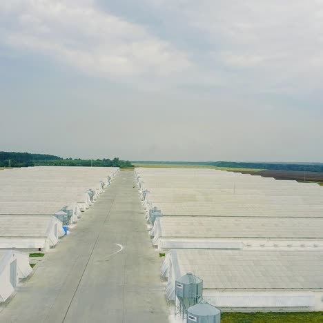 poultry farm buildings
