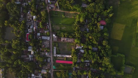 A-top-down-view-of-a-small-Asian-village-nestled-in-lush-greenery,-depicting-the-simplicity-and-beauty-of-rural-life