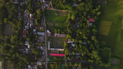 una vista de arriba hacia abajo de un pequeño pueblo asiático enclavado en una exuberante vegetación, que representa la sencillez y la belleza de la vida rural