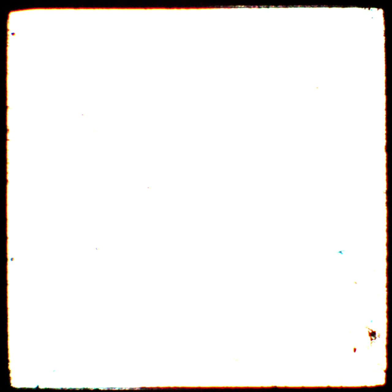 marco de película en blanco