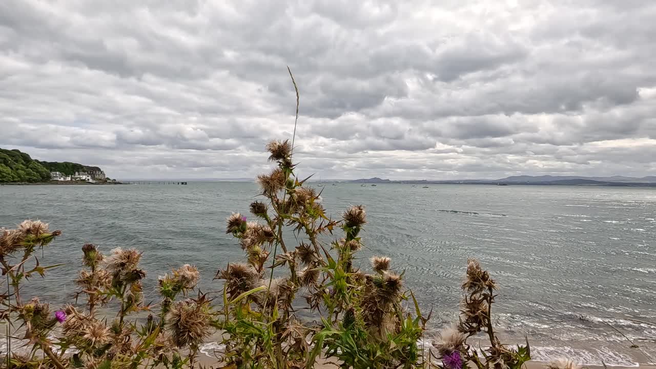 орехи с видом на море в абердуре (шотландия)