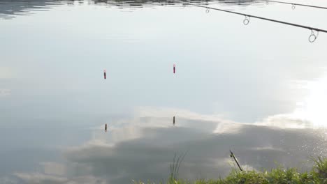 two fishing lines, poles suspended over pond on calm day, varbo, hungary