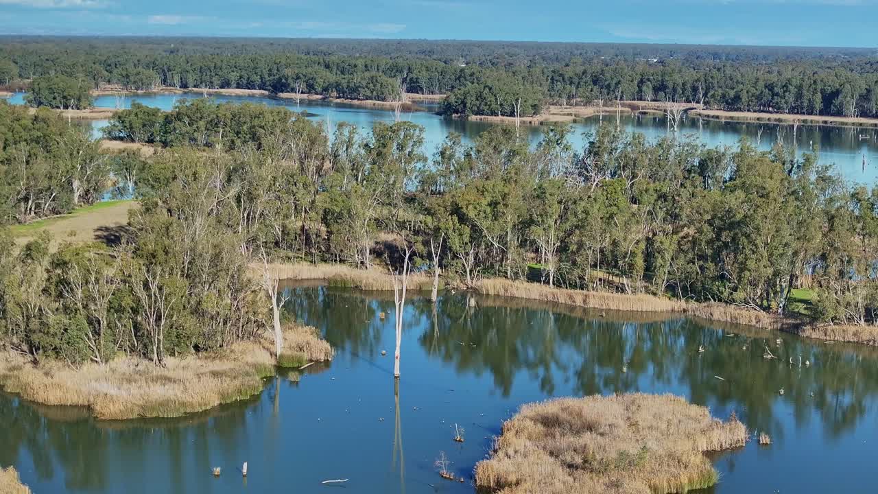 islas arboladas y reflejos de agua en el lago mulwala cerca de mulwala a finales de la tarde