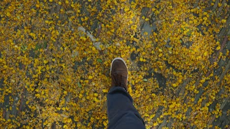 man in slippers walks on yellow leaves on the ground in an autumn evening