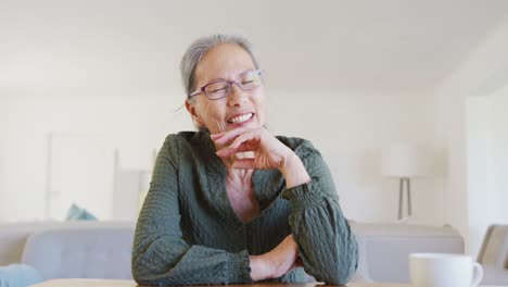 Portrait-of-happy-asian-senior-woman-talking-and-having-video-call