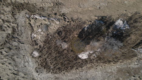 aerial birds eye view of salt marshes in winter, showing natural habitat for wildlife