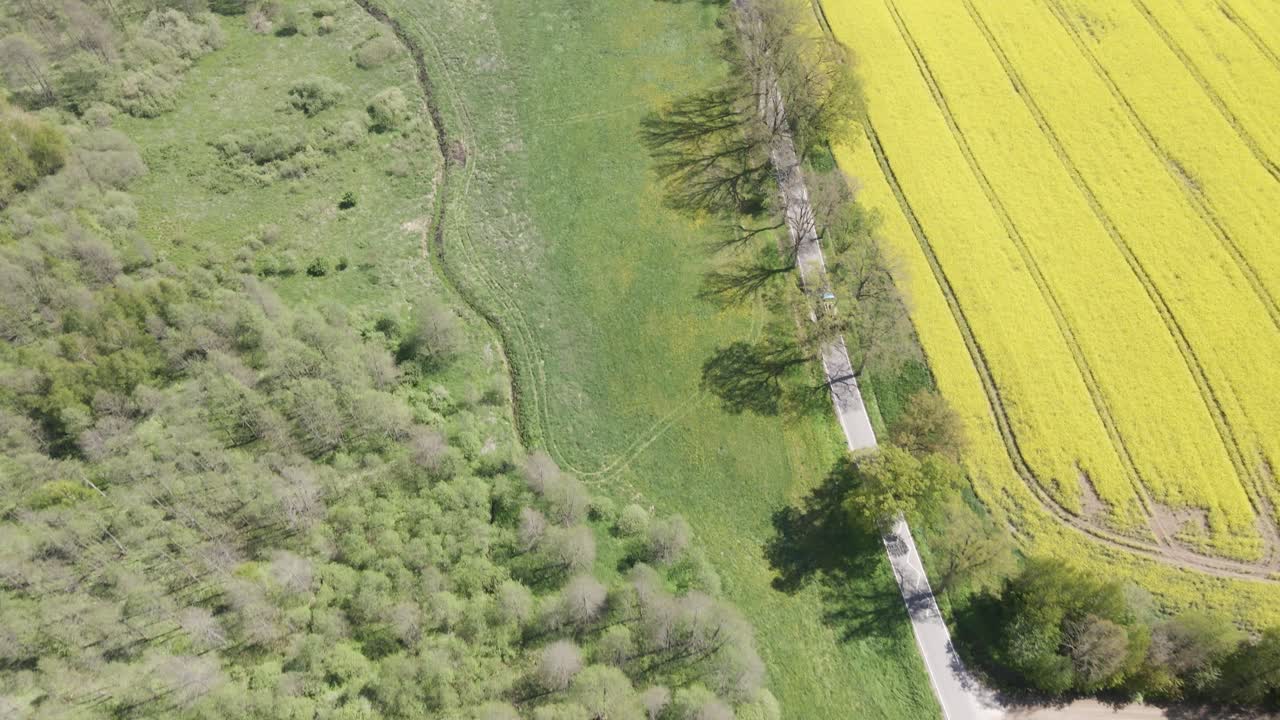 나무 들보를 운반하는 트럭 트럭은 폴란드의 시골 도로를 운전합니다.