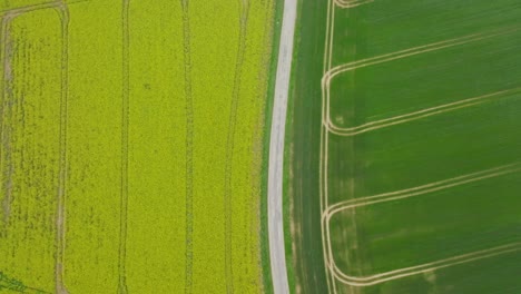 graphic plan over paths and roads over fields