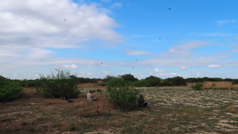 La-Colonia-De-Abejarucos-Carmín-Del-Sur-Durante-El-Mes-De-Verano-De-Octubre-A-Lo-Largo-Del-Río-Zambezi-Cerca-De-Kalizo