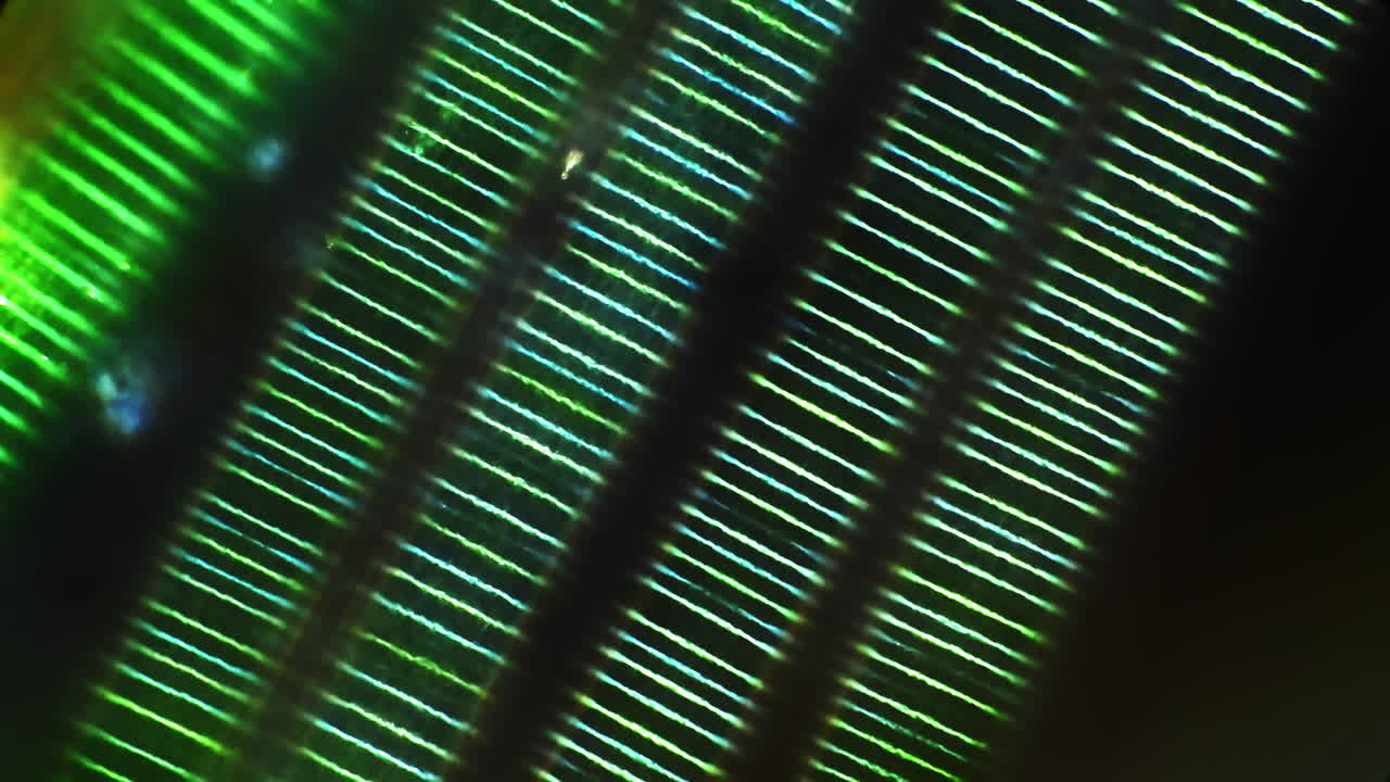 Microscopic View of Luminous Parallel Lines
