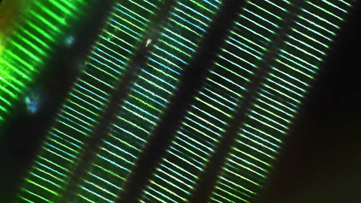 Microscopic View of Luminous Parallel Lines