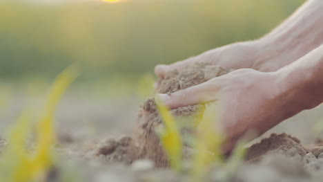 Farmer-Pouring-Organic-Soil-9