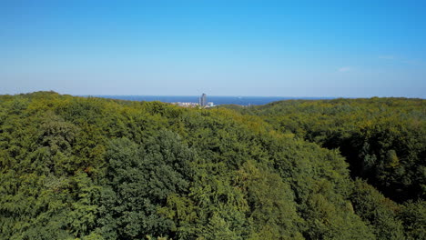 Aérea---Elevándose-Por-Encima-De-Los-árboles-Y-Revelando-El-Panorama-De-La-Ciudad-De-Gdynia---Vista-De-La-Bahía-De-Gdańsk-Y-El-Puerto-Deportivo-En-Gdynia-Y-La-Torre-Del-Mar