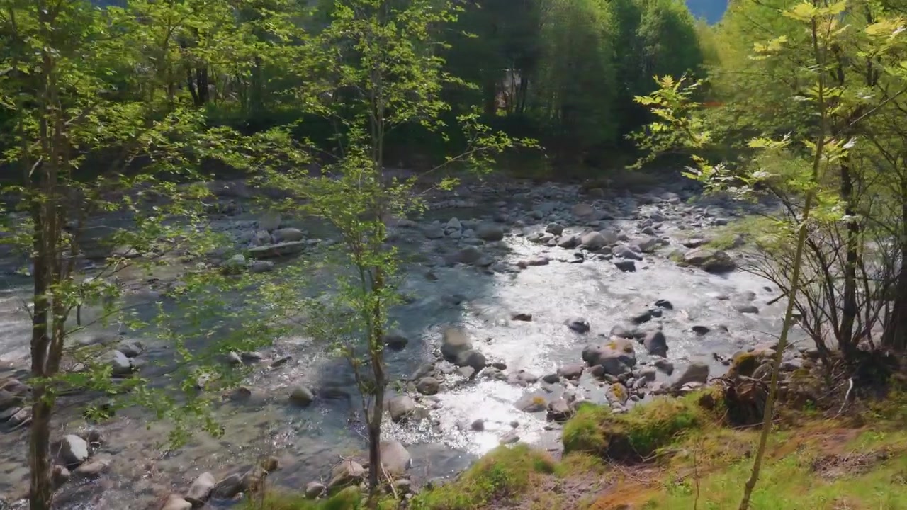 Fiume di montagna che scorre attraverso foresta verde e rocce, ampia vista panoramica con gimbal. Ruscello alpino panoramico lungo un sentiero in cemento sotto un cielo blu soleggiato