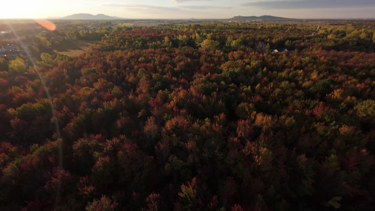 FPV aerial footage diving through Sainte-Julie fall landscape, Canada