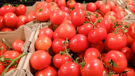 red tomatoes in cardboard boxes in the market red tomatoes in cardboard boxes in the market vegetables on the market