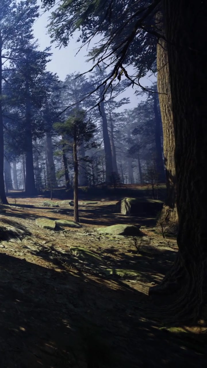 Scena di una foresta misteriosa bagnata dalla luce soffusa del sole nelle prime ore del mattino