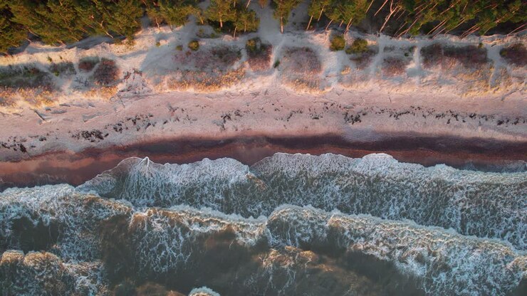 Enormi onde con la cresta bianca dal selvaggio Mar Baltico si infrangono su una spiaggia sabbiosa adiacente a un margine di foresta illuminato dalla luce del sole