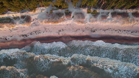 Huge-white-capped-waves-from-the-wild-Baltic-Sea-roll-out-onto-a-sandy-beach-adjacent-to-a-forest-edge-lit-by-sunlight