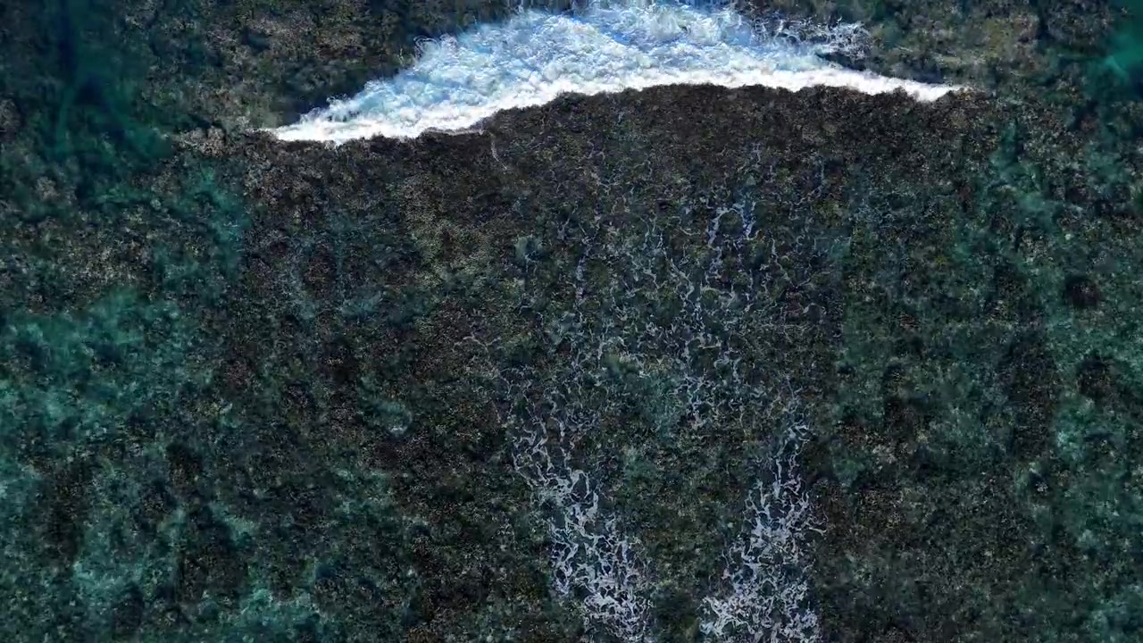 Wave breaking over shallow reef in clear tropical ocean. Overhead drone view
