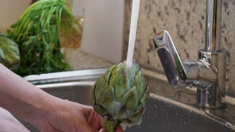 Woman-washing-artichokes-in-stainless-steel-sink-with-metal-faucet.-Cooking-artichokes-at-kitchen