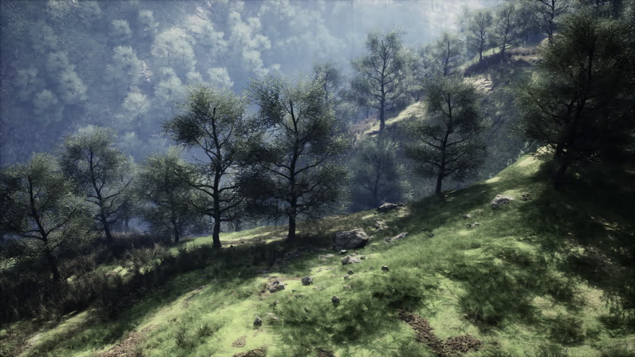 Paesaggio di una valle montuosa nebbiosa