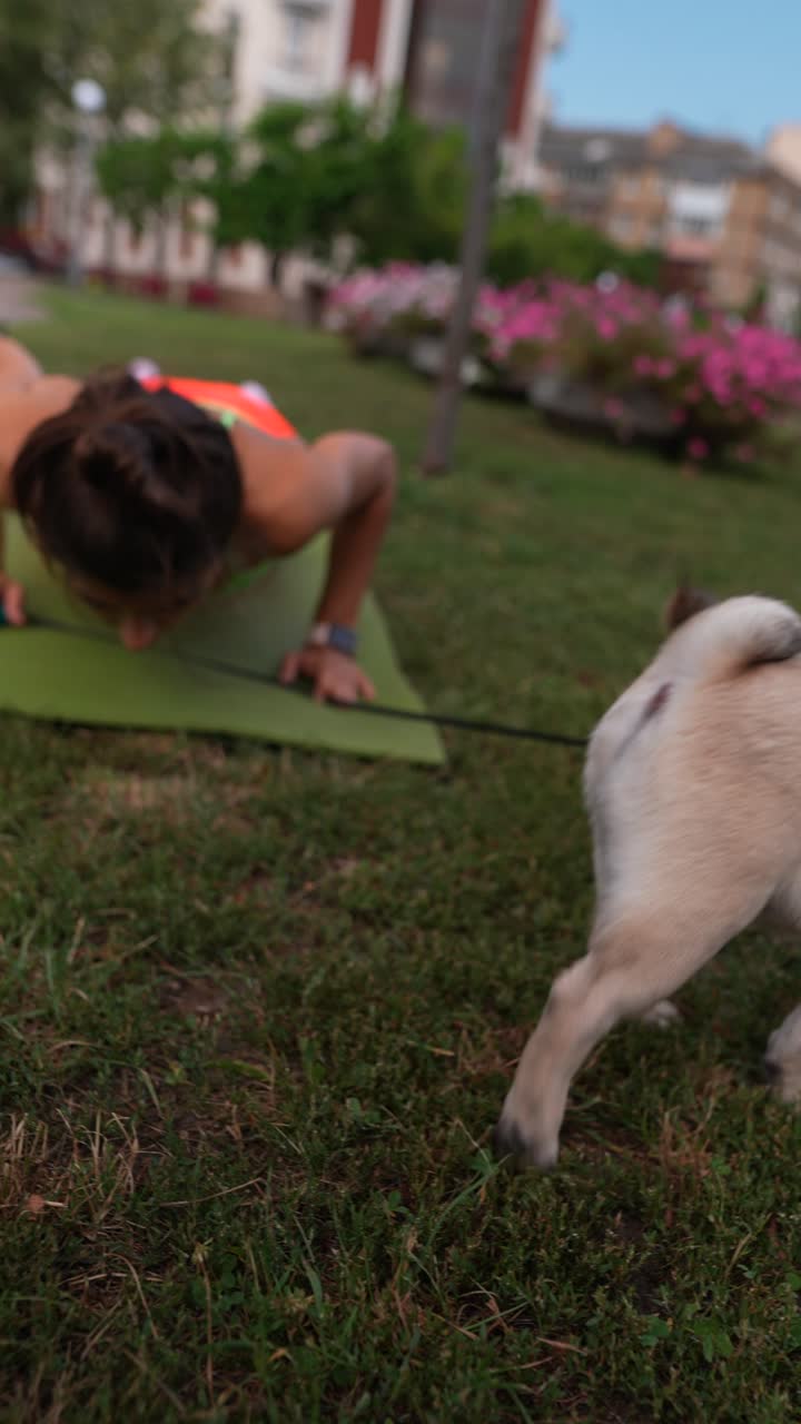 파그와 여자가 공원에서 운동하고 있습니다.