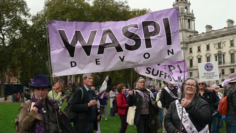 waspi from devon, united kingdom