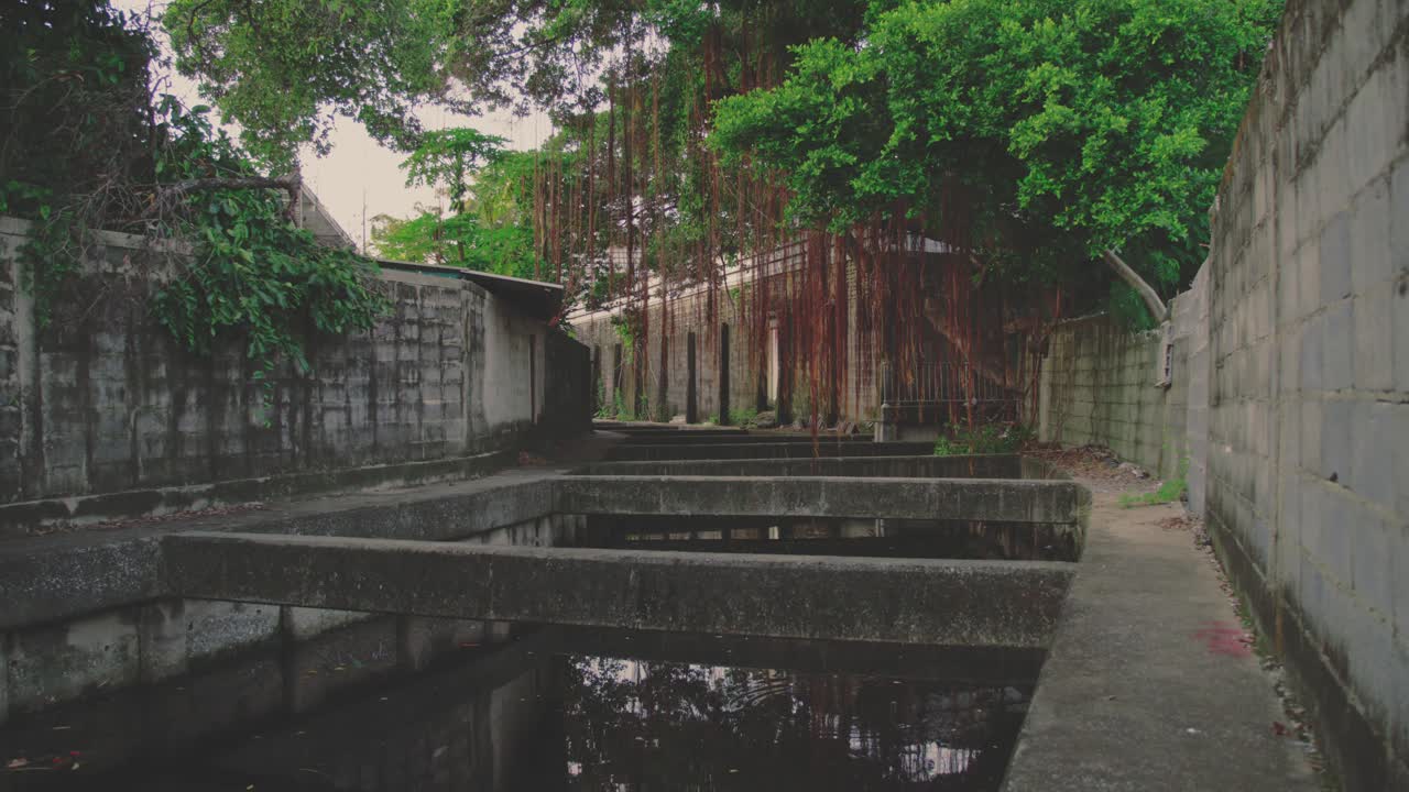Lush vegetation overhanging a canal with weathered concrete walls and dividers, creating a serene yet mysterious atmosphere in Bangkok, Thailand