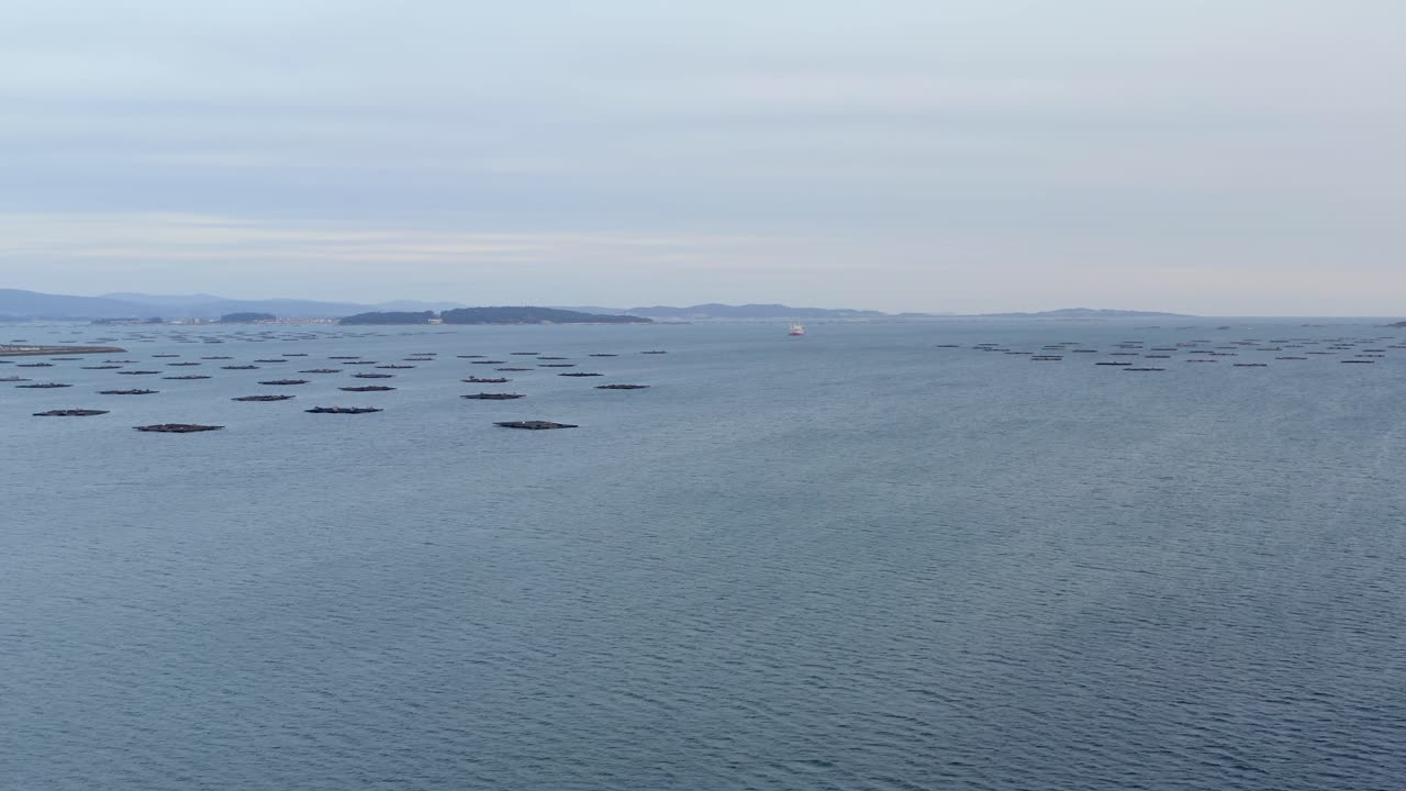 광대한 개방된 물, 배경에는 해산물 양식 바테아