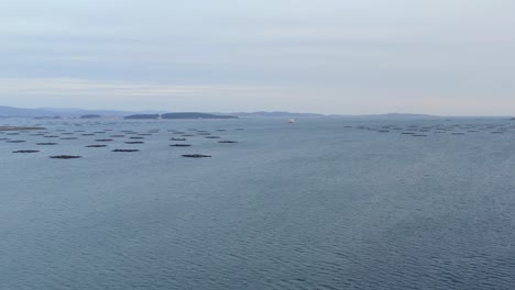 vast open water, seafood farming bateas in background
