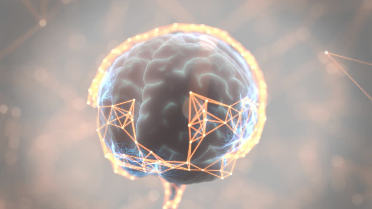 뇌 디지털 스캔 루프