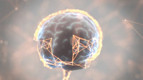 bucle de escaneo digital del cerebro