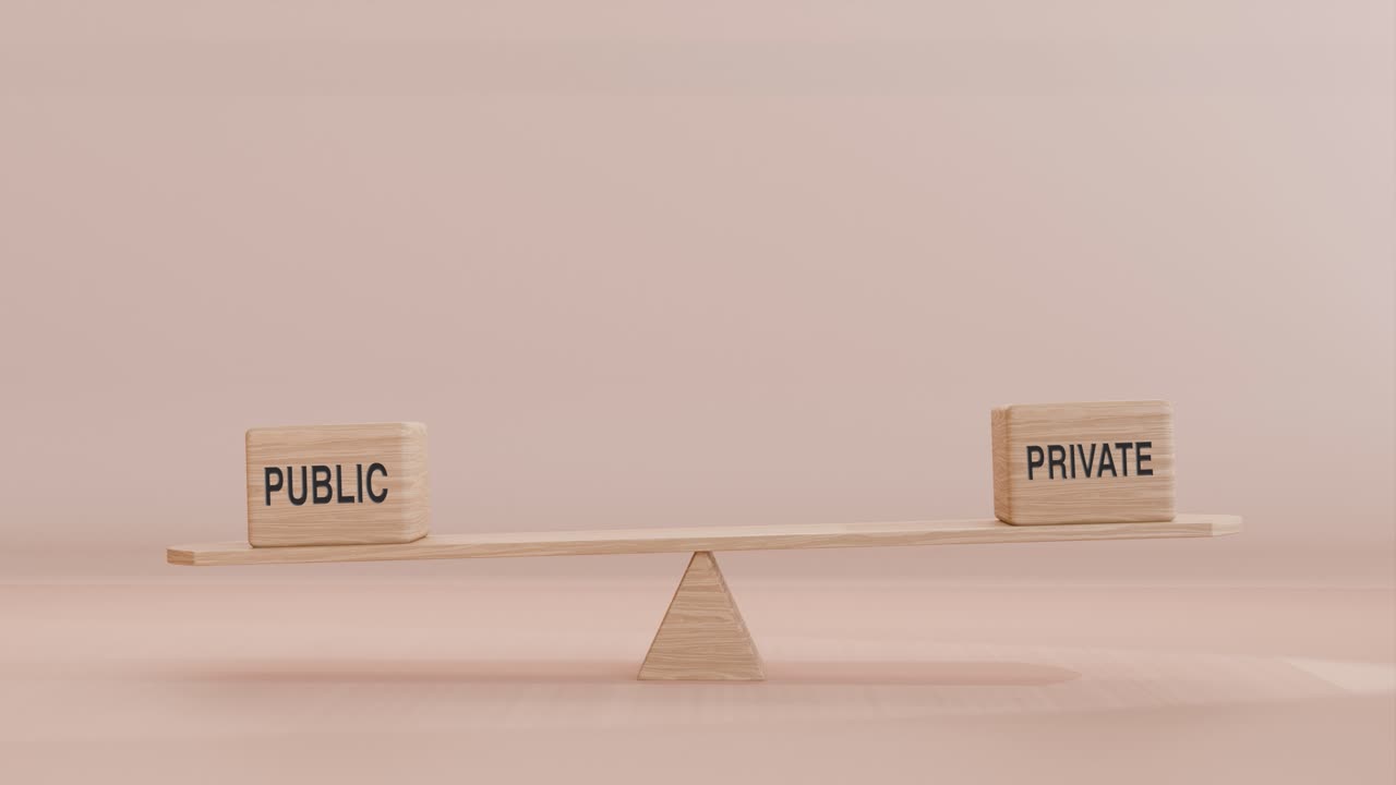PUBLIC AND PRIVATE BALANCING ON SEESAW