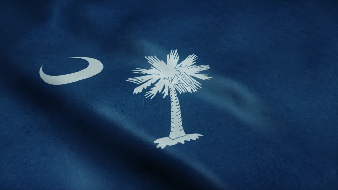 bandera del estado de carolina del sur ondeando en el viento. bucle sin costuras con textura de tela muy detallada