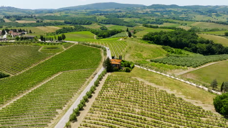 Panoramic drone shot tracking a Motorhome driving in middle of Tuscan viticulture
