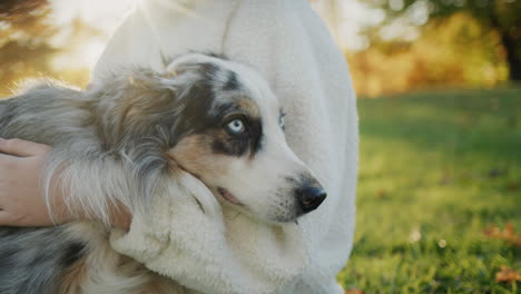 a child hugs and strokes his dog, sits in the park on the grass in the rays of the setting sun